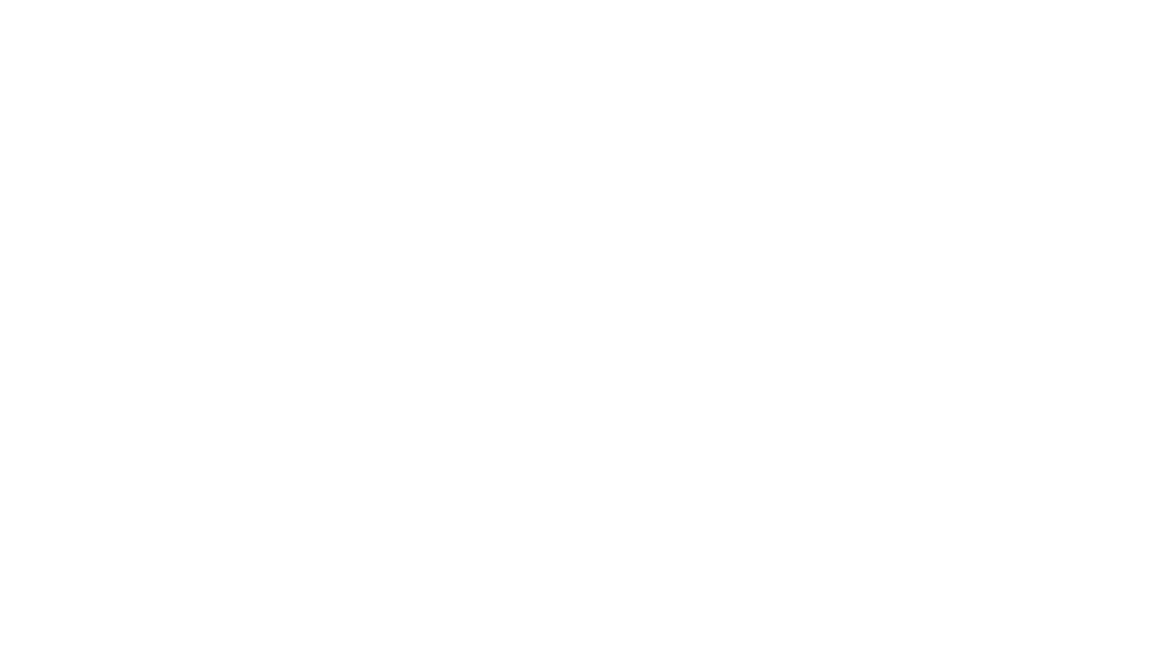BackQuant Logo
