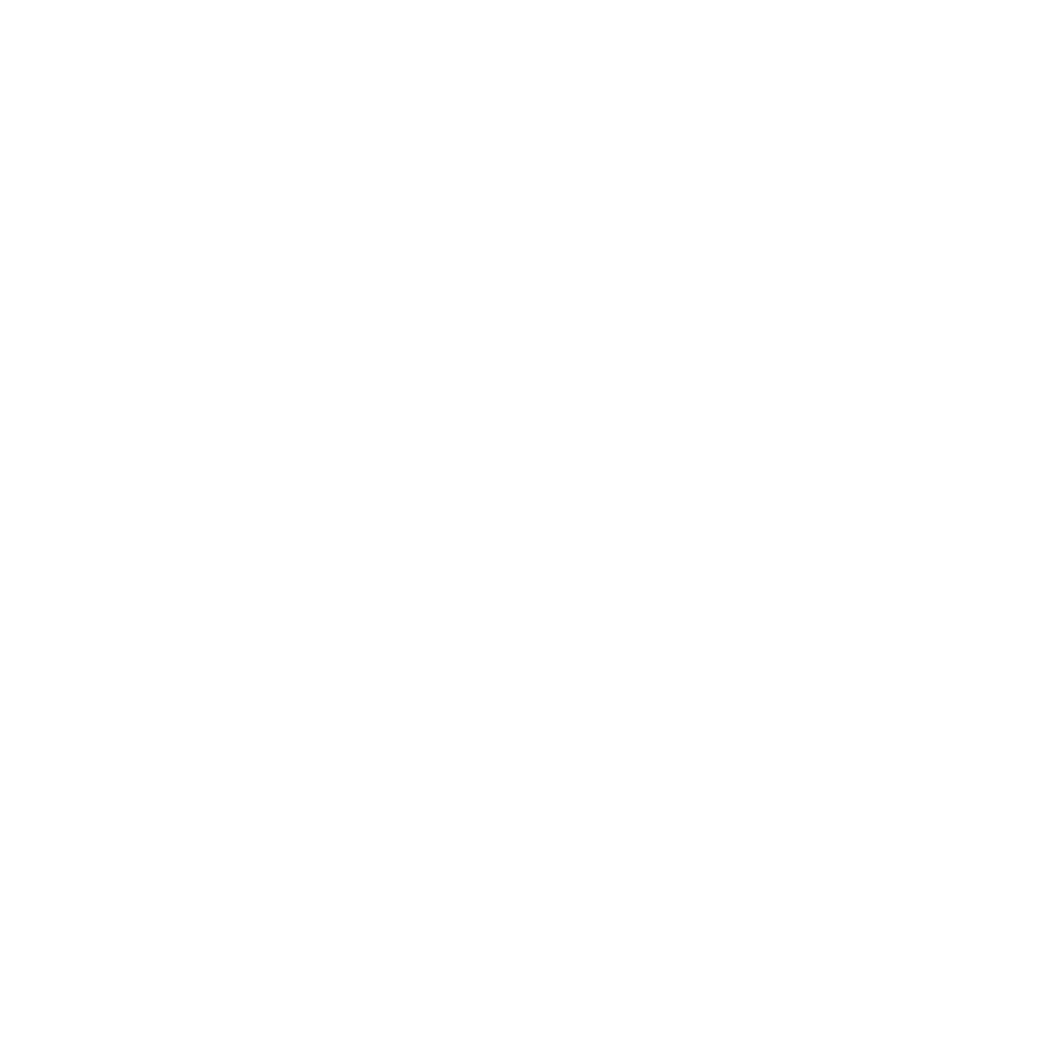 BackQuant Logo